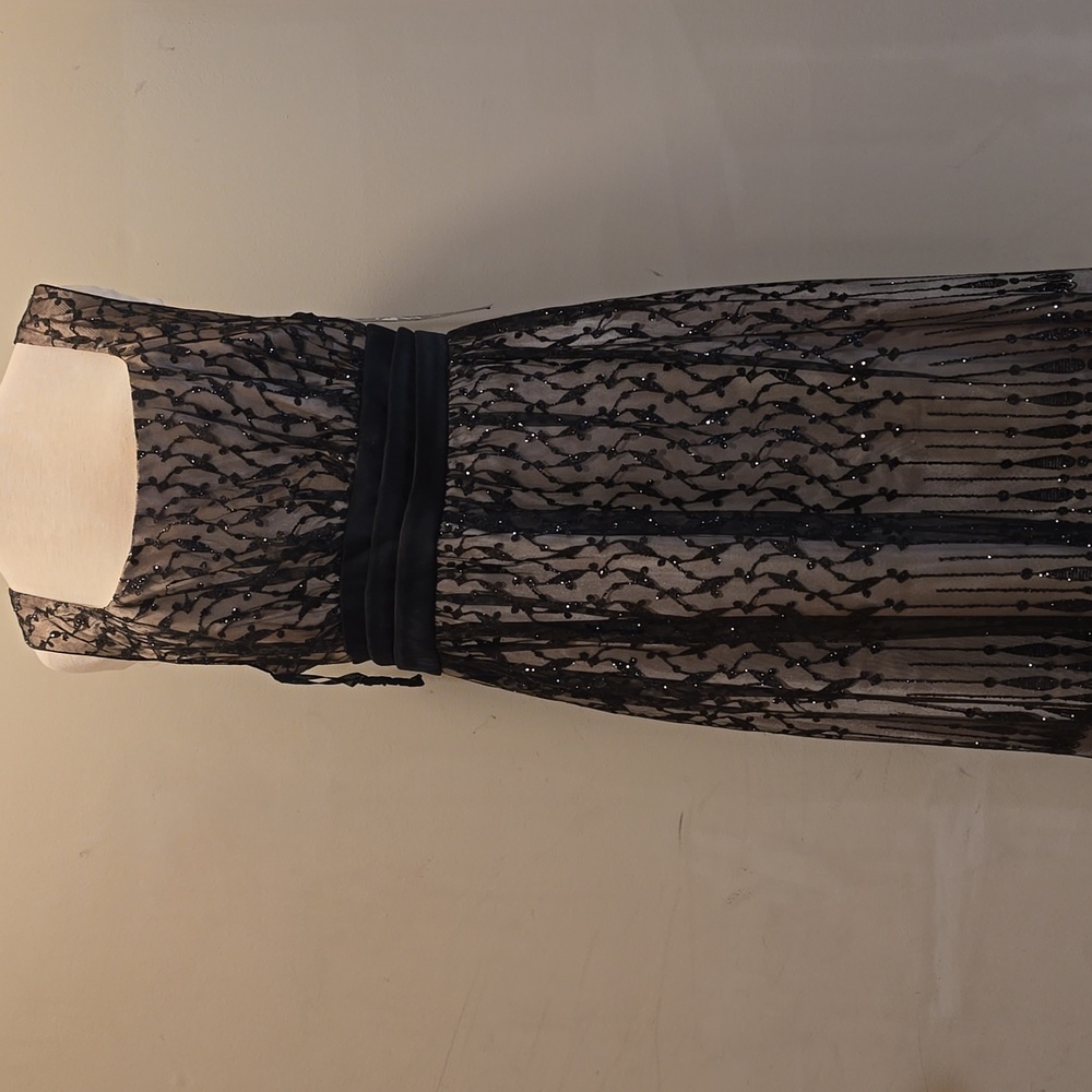 Dress 20W NWT $140 Black Sparkle Lace Overlay Onyx 1 piece Dress